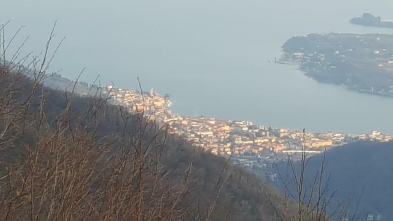 Alex'S Home Crone Εξωτερικό φωτογραφία